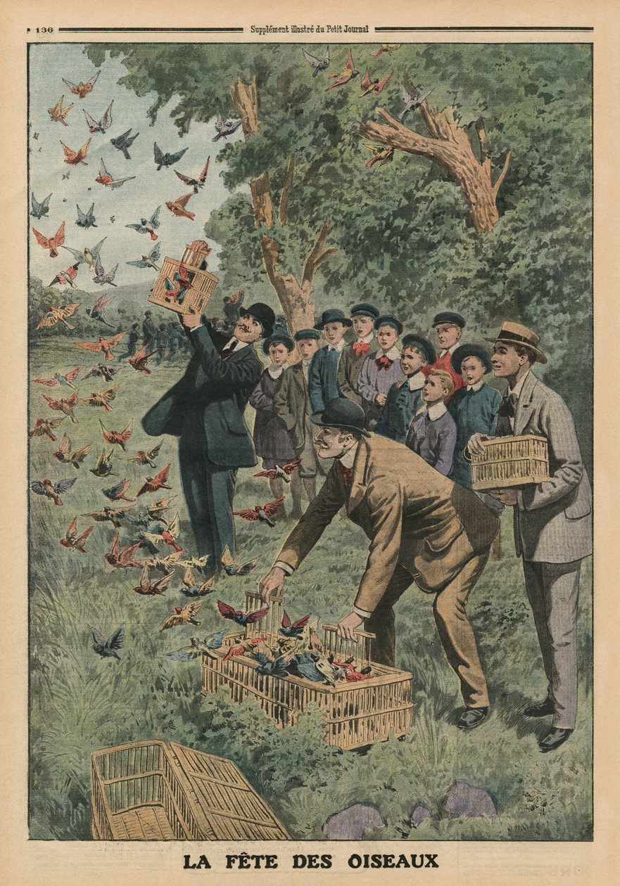 Fåglarnas dag, illustration på baksidan från 