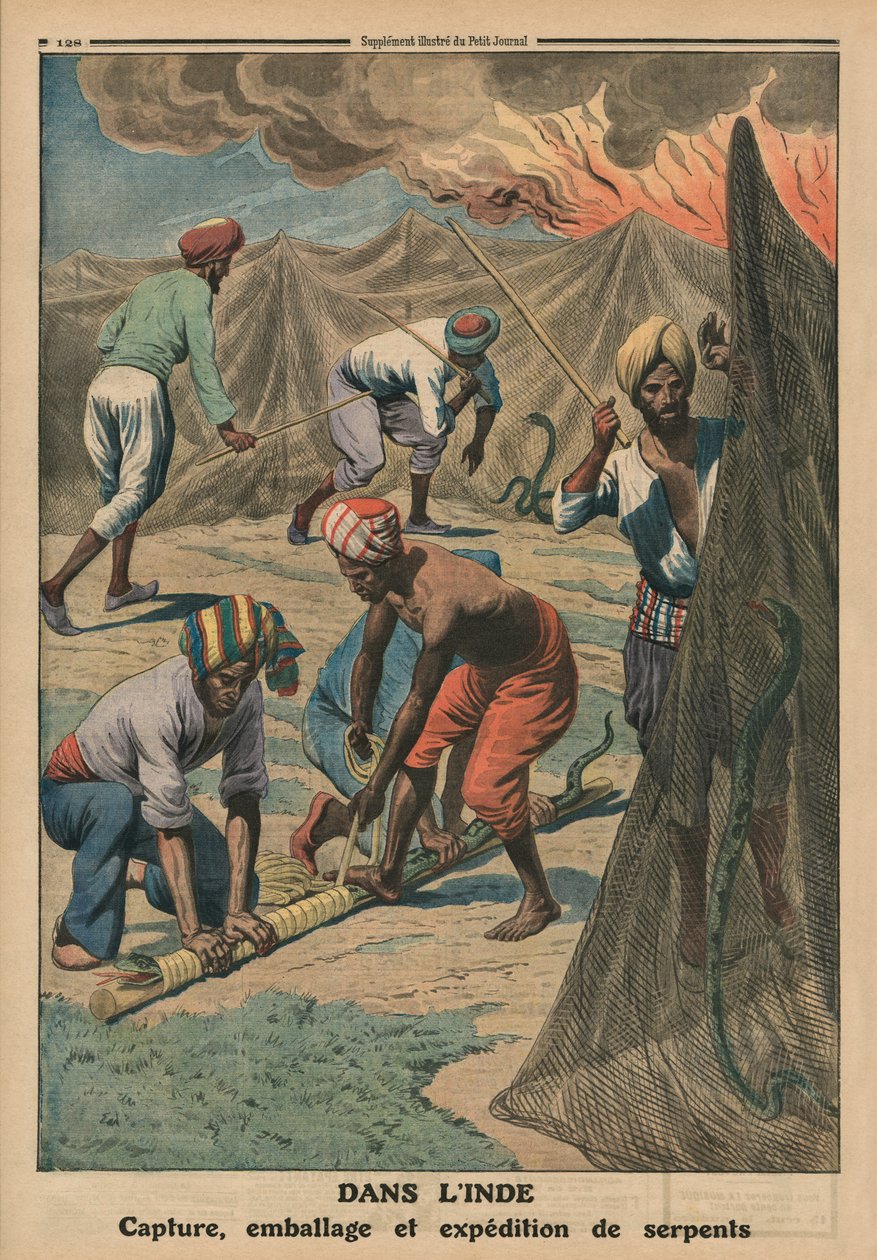 Fånga, packa och skicka ormar, Indien, illustration på baksidan av omslaget från "Le Petit Journal", supplement illustre, 20 april 1913. av French School
