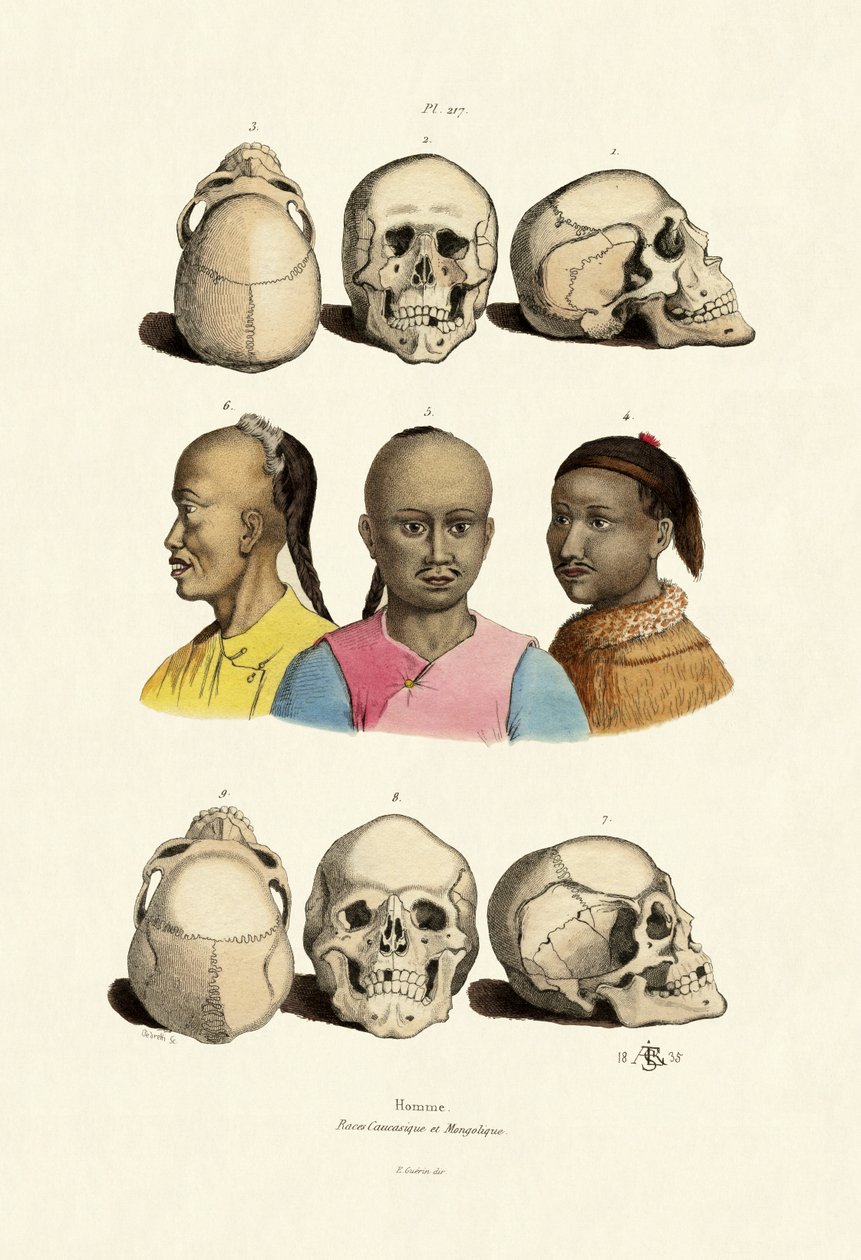Kaukasier, 1833-39 av French School