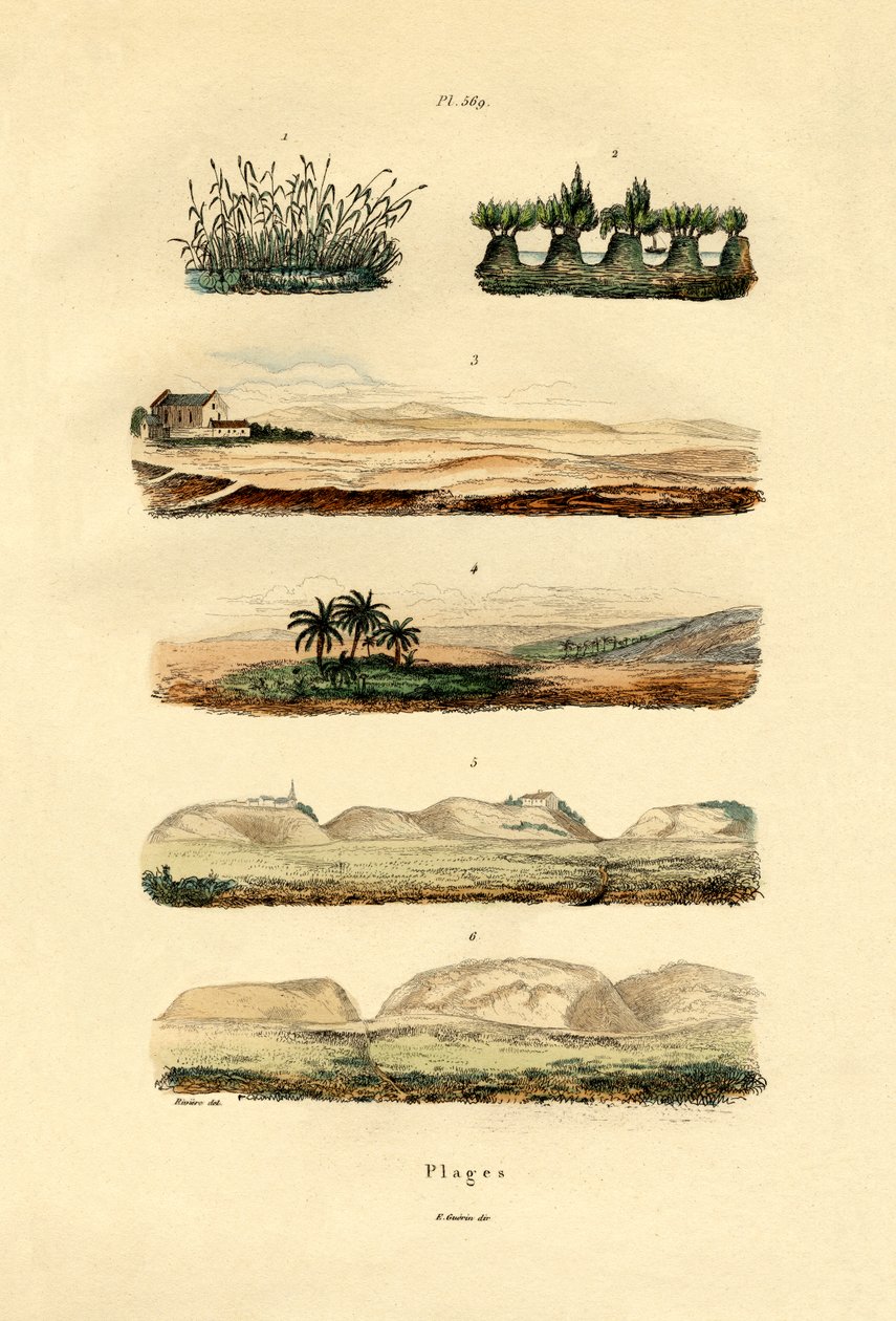 Kusten, 1833-39 av French School
