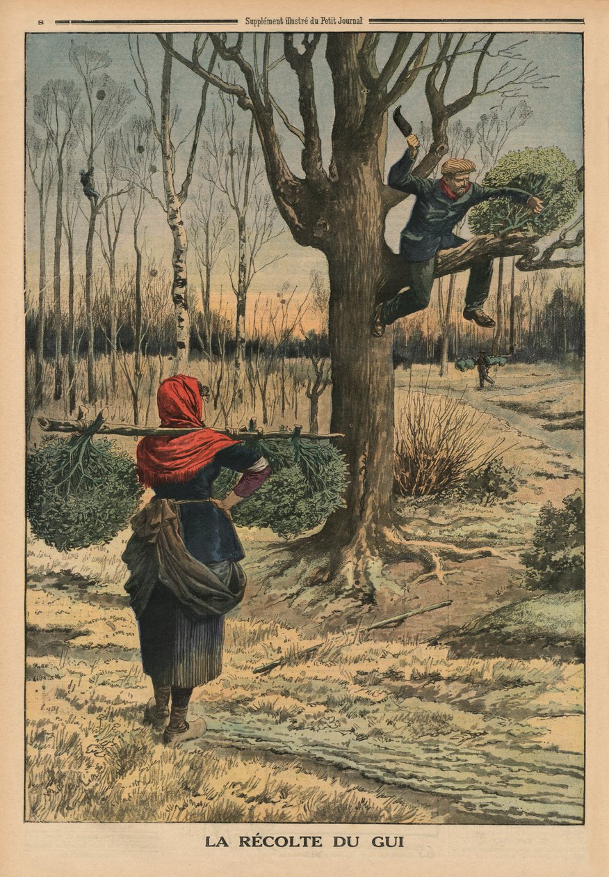Att skära misteln, illustration på baksidan från 