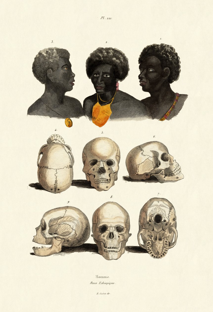 Etiopier, 1833-39 av French School
