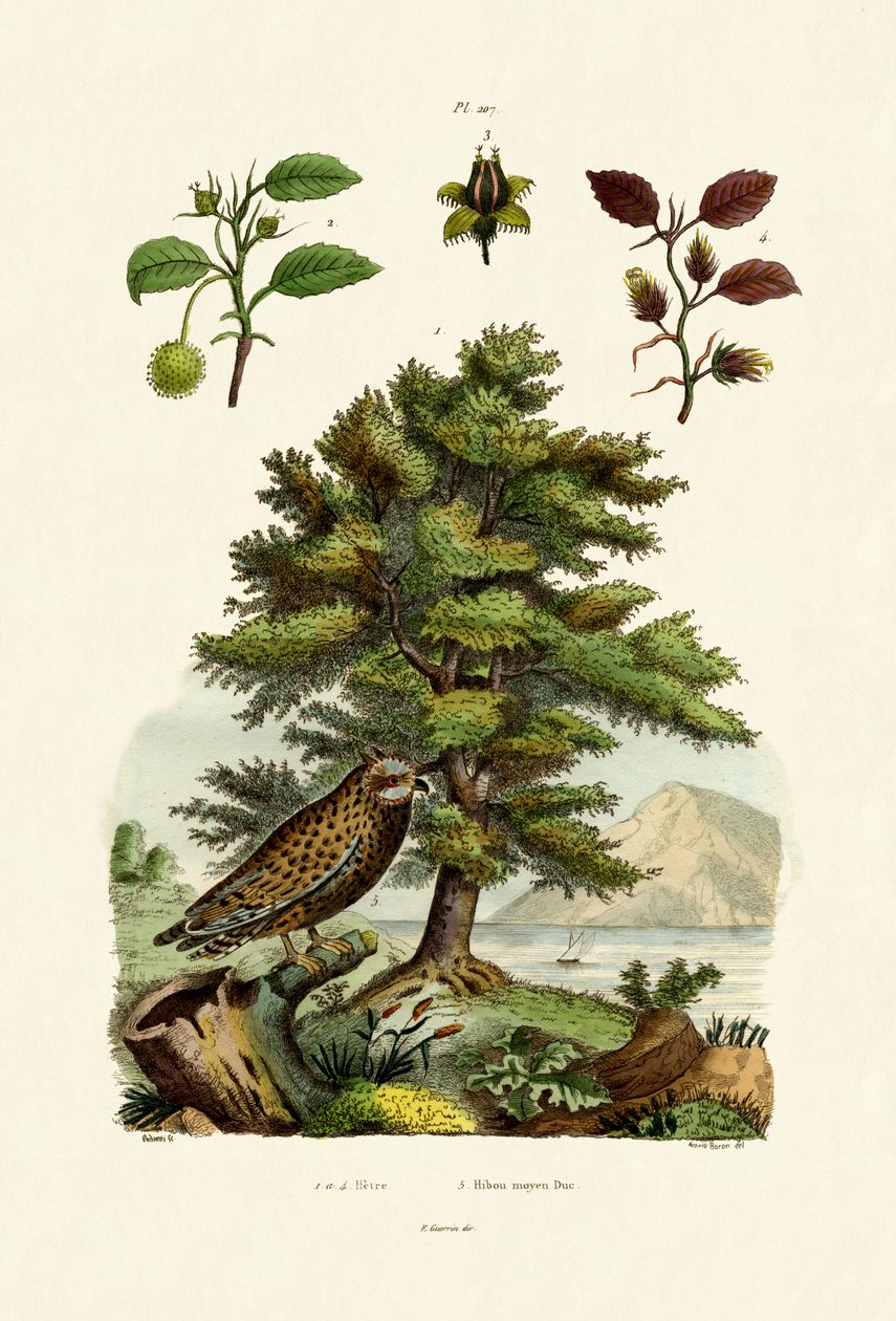 Europeisk bok, 1833-39 av French School
