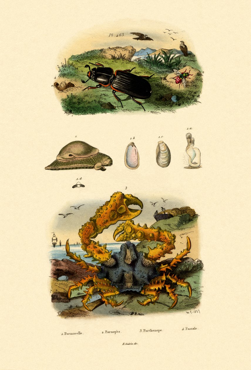 Juvelgeting, 1833-39 av French School
