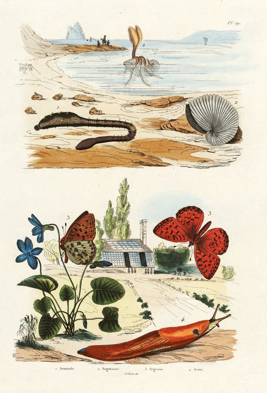 Lungmask, 1833-39 av French School