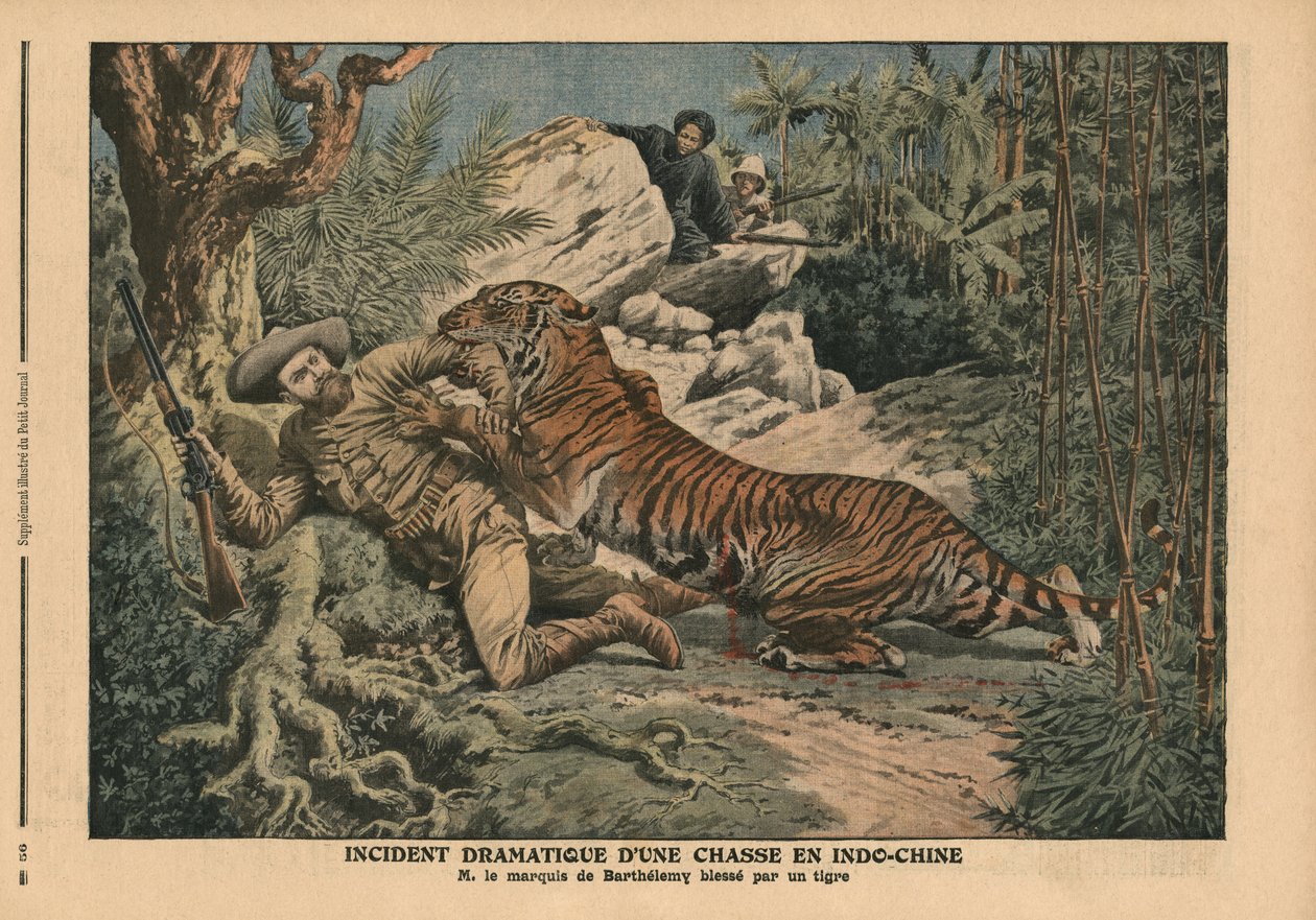 Markis av Barthelemy skadad av en tiger, illustration från 