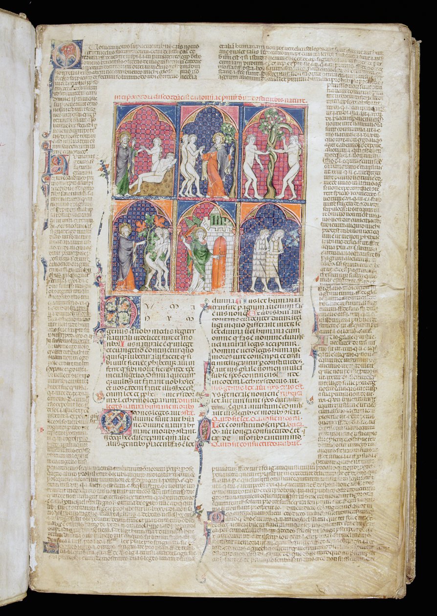 Ms. 262, f.1r: Sex scener av skapelse och fall från Gratianus decretum, ca 1300 av French School