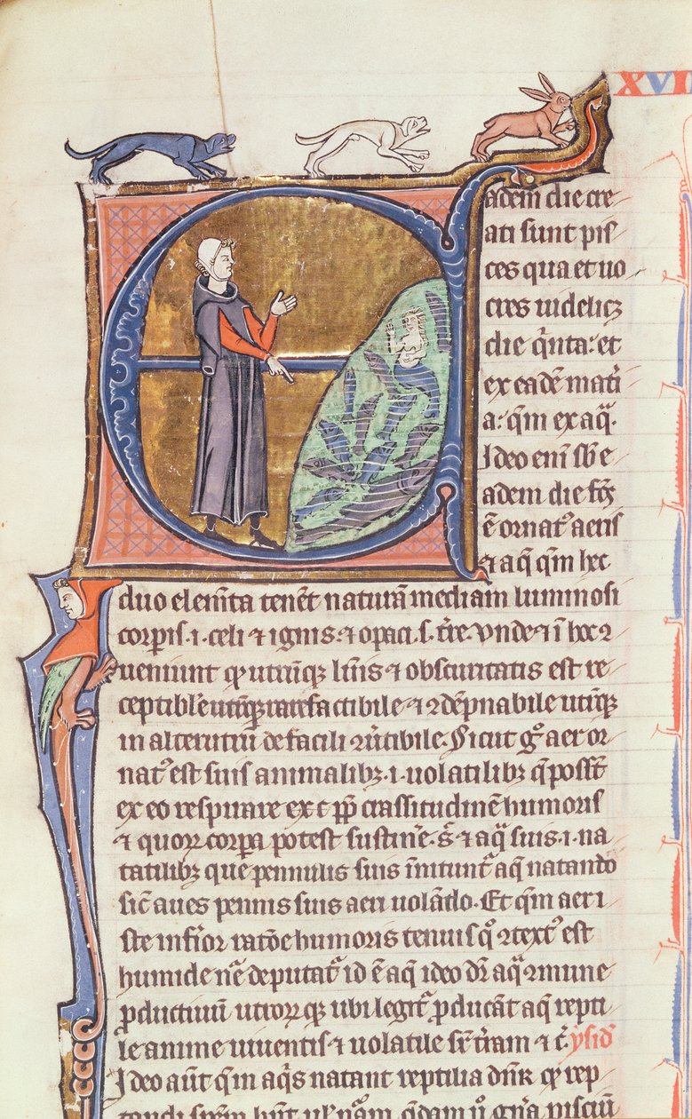 Ms 426 fol. 213 En läkare vid en fiskdamm, från 