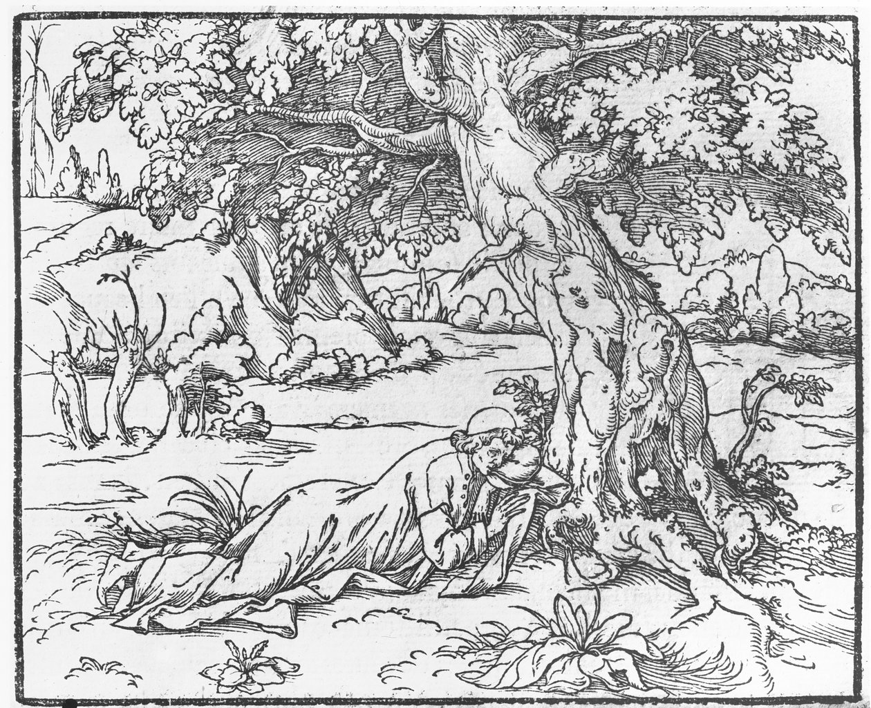 Sida från Speech of the Dream of Poliphile, av Francesco Colonna, 1546 av French School