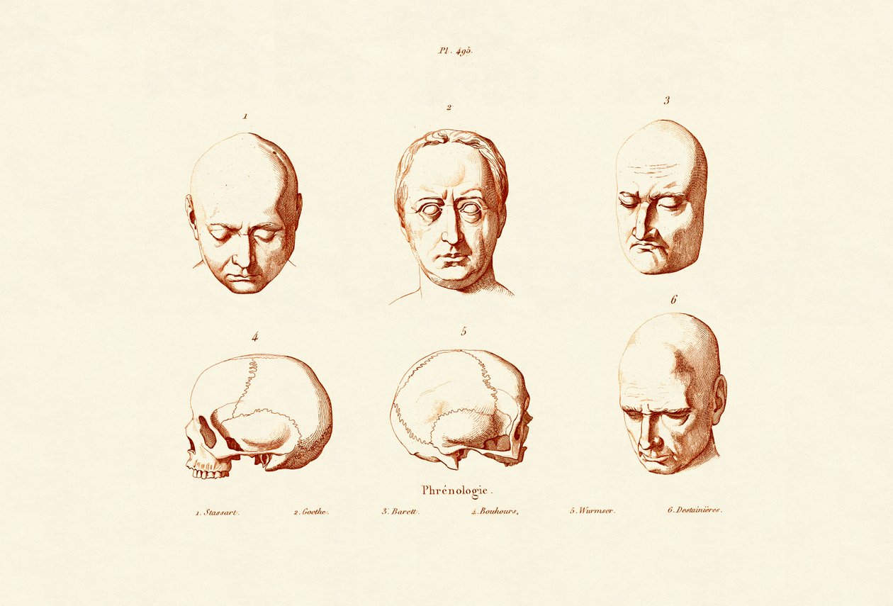 Frenologi, 1833-39 av French School