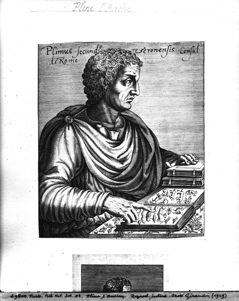 Plinius den äldre (23-79 e.Kr.) av French School