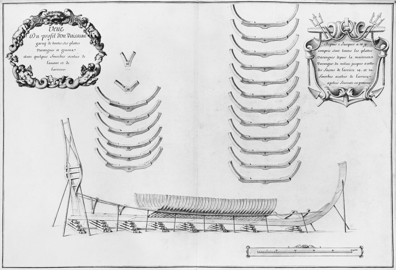 Profil av ett fartyg med alla dess golvplattor, illustration från 