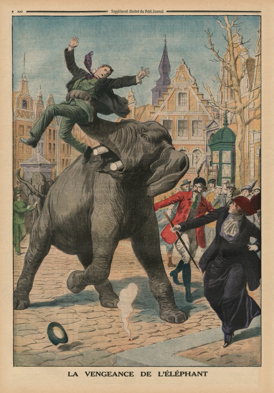En elefants hämnd, illustration på baksidan från Le Petit Journal