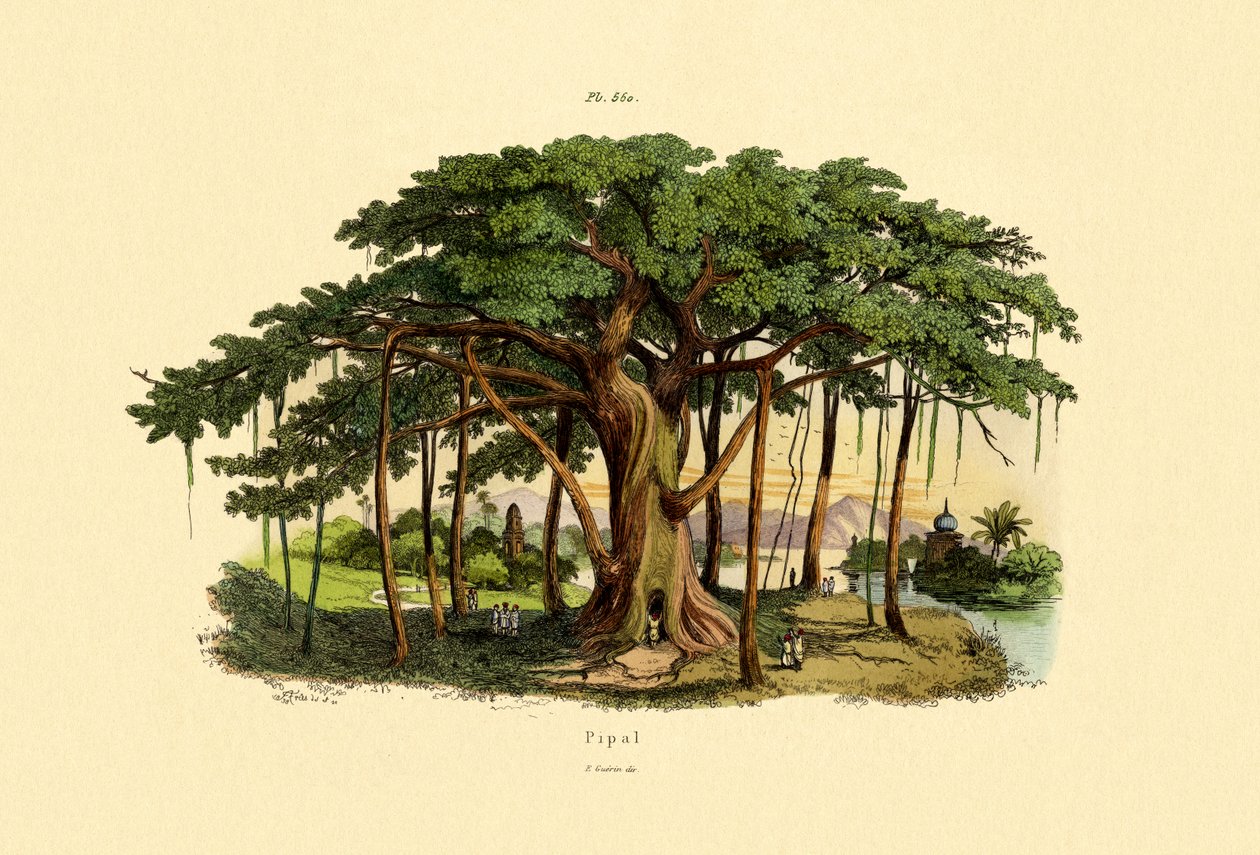 Helig fig, 1833-39 av French School
