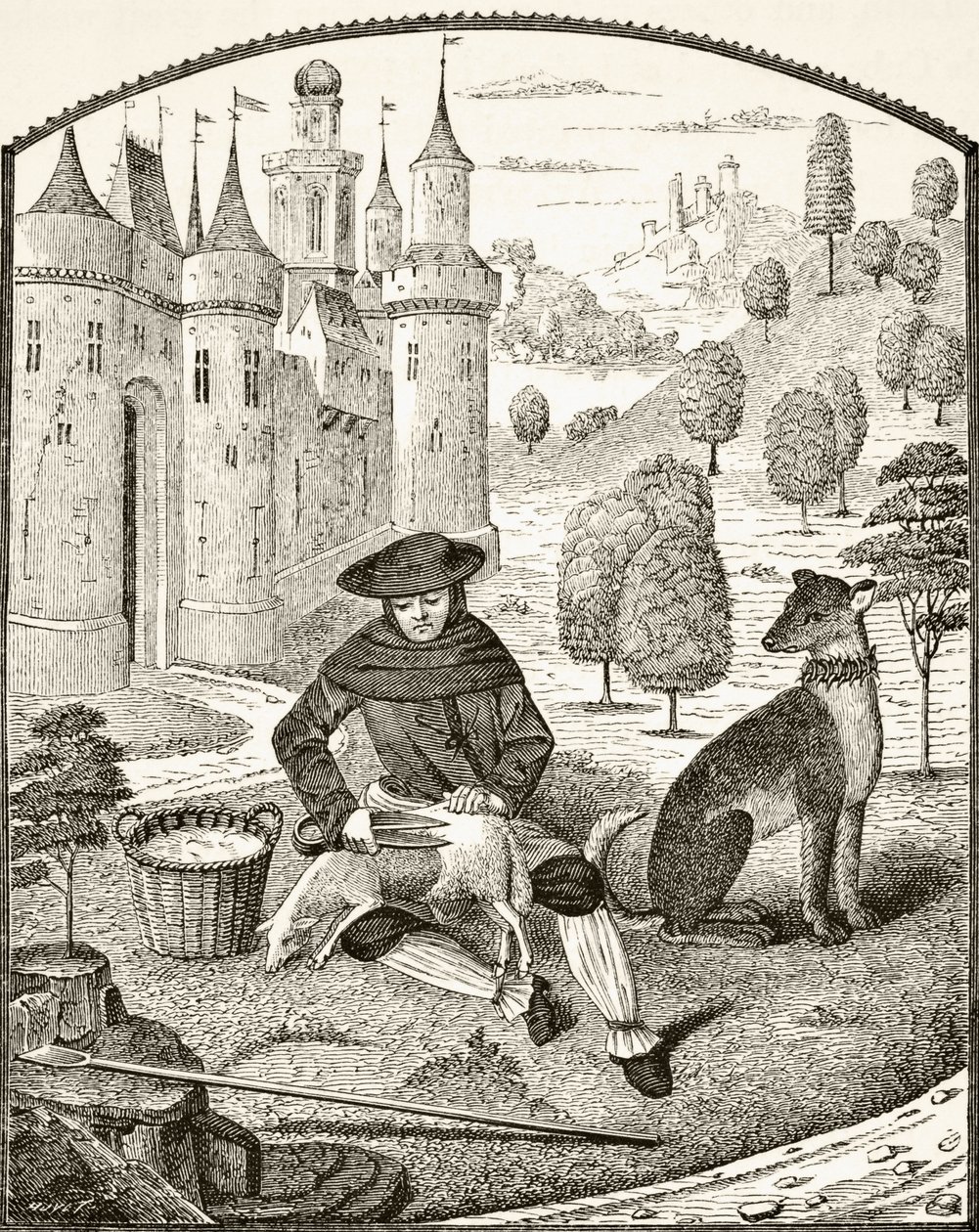 Fårklippning under medeltiden, från "Science and Literature in the Middle Ages" av Paul Lacroix (1806-84) publicerad i London 1878 av French School