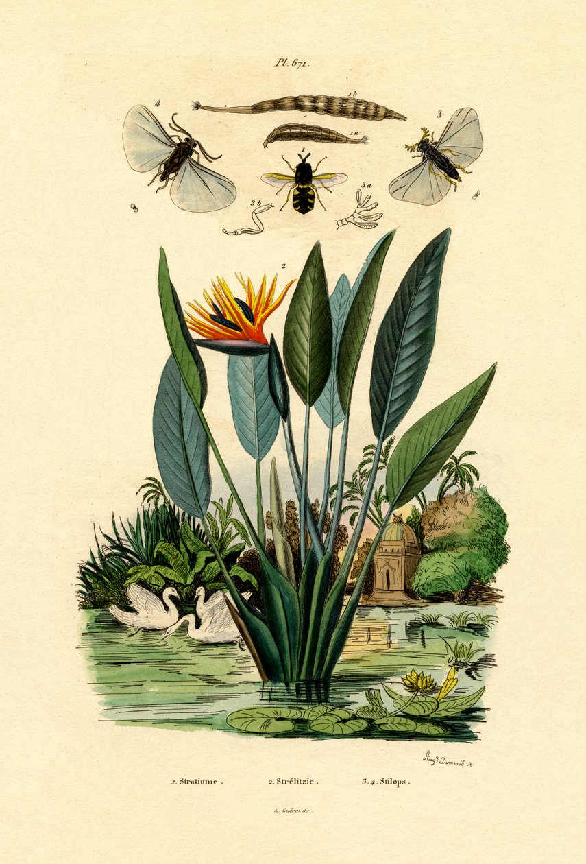 Soldatflugor, 1833-39 av French School