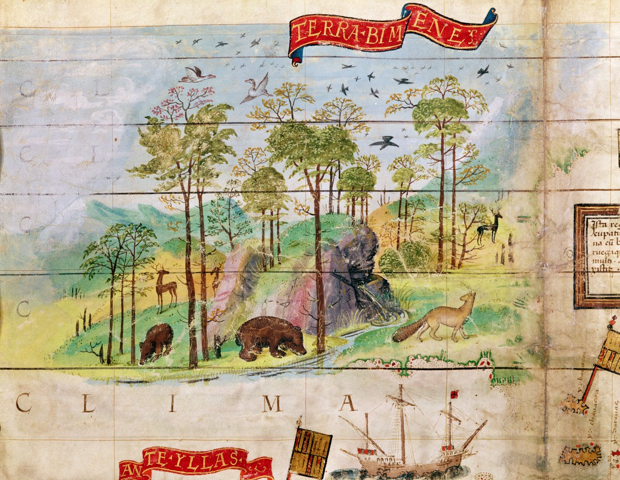 Den kanadensiska skogen, detalj från en karta över Atlanten, 1519 av French School