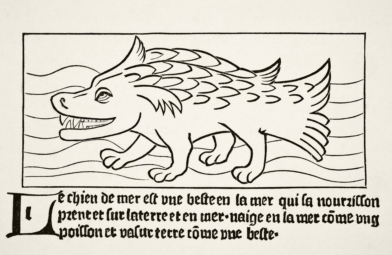 Havshunden, ur "Science and Literature in the Middle Ages" av Paul Lacroix (1806-84), publicerad i London 1878. av French School