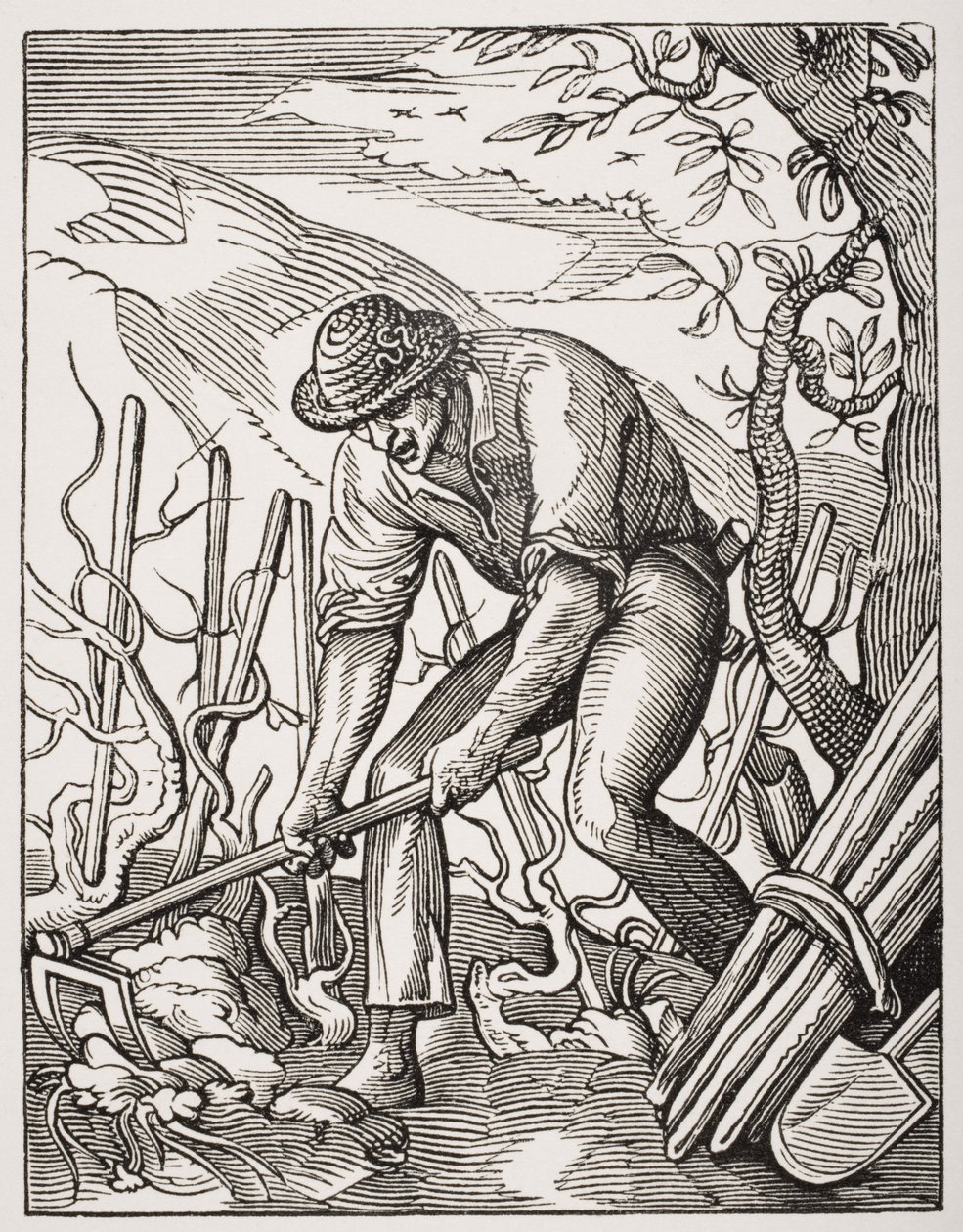 Vinodlaren, efter en gravyr av Jost Amman (1539-91) från 