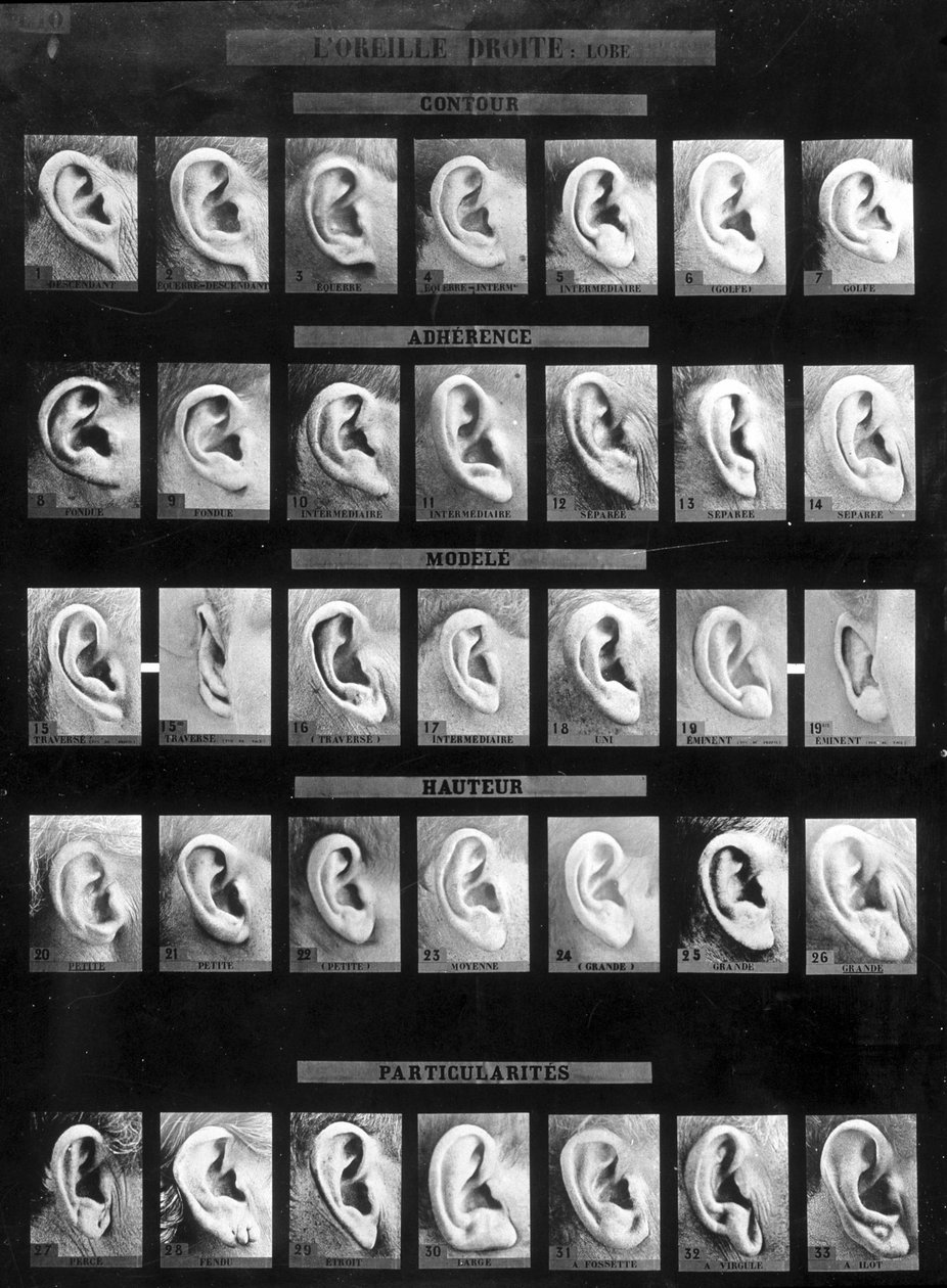 Antropometrisk klassificering och identifiering av Bertillon-systemet: jämförelse av olika typer av raka öron (lob). sd. Sent 1800-tal. av French Photographer