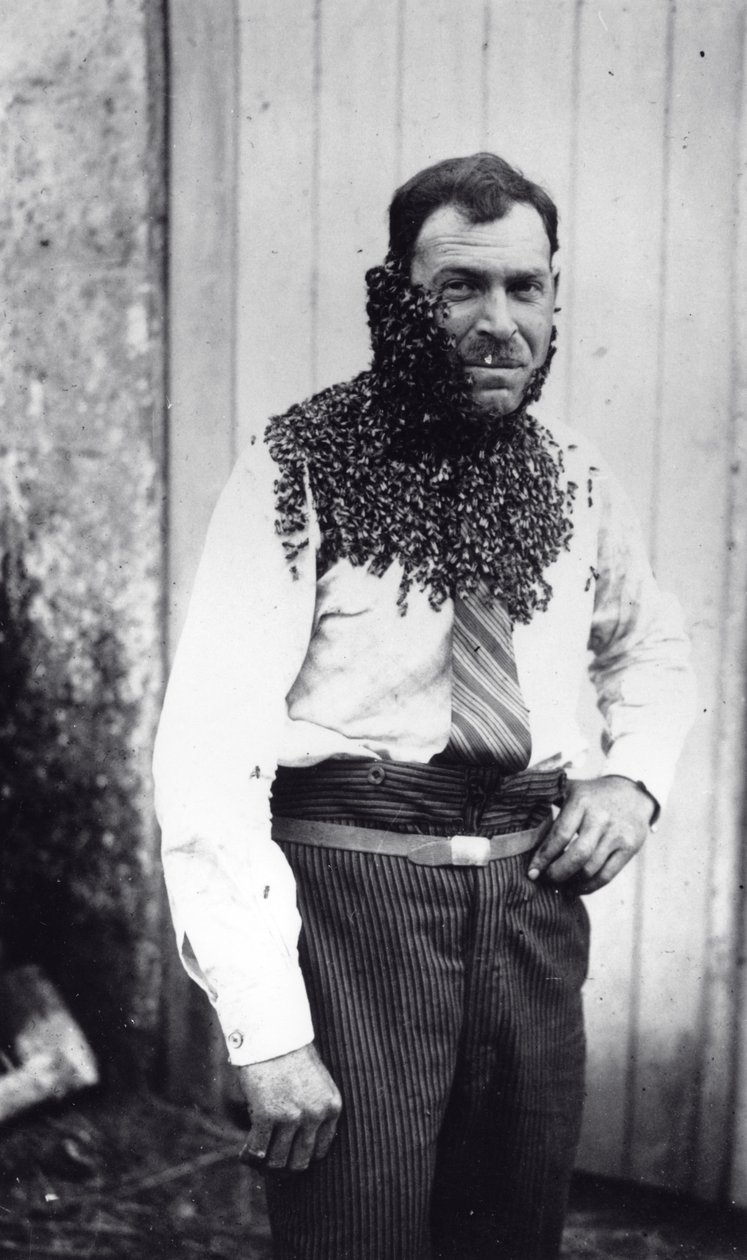 Biodlaren Angel Peuchaud täckt med bin i Angouleme, Charentes, Frankrike av French Photographer