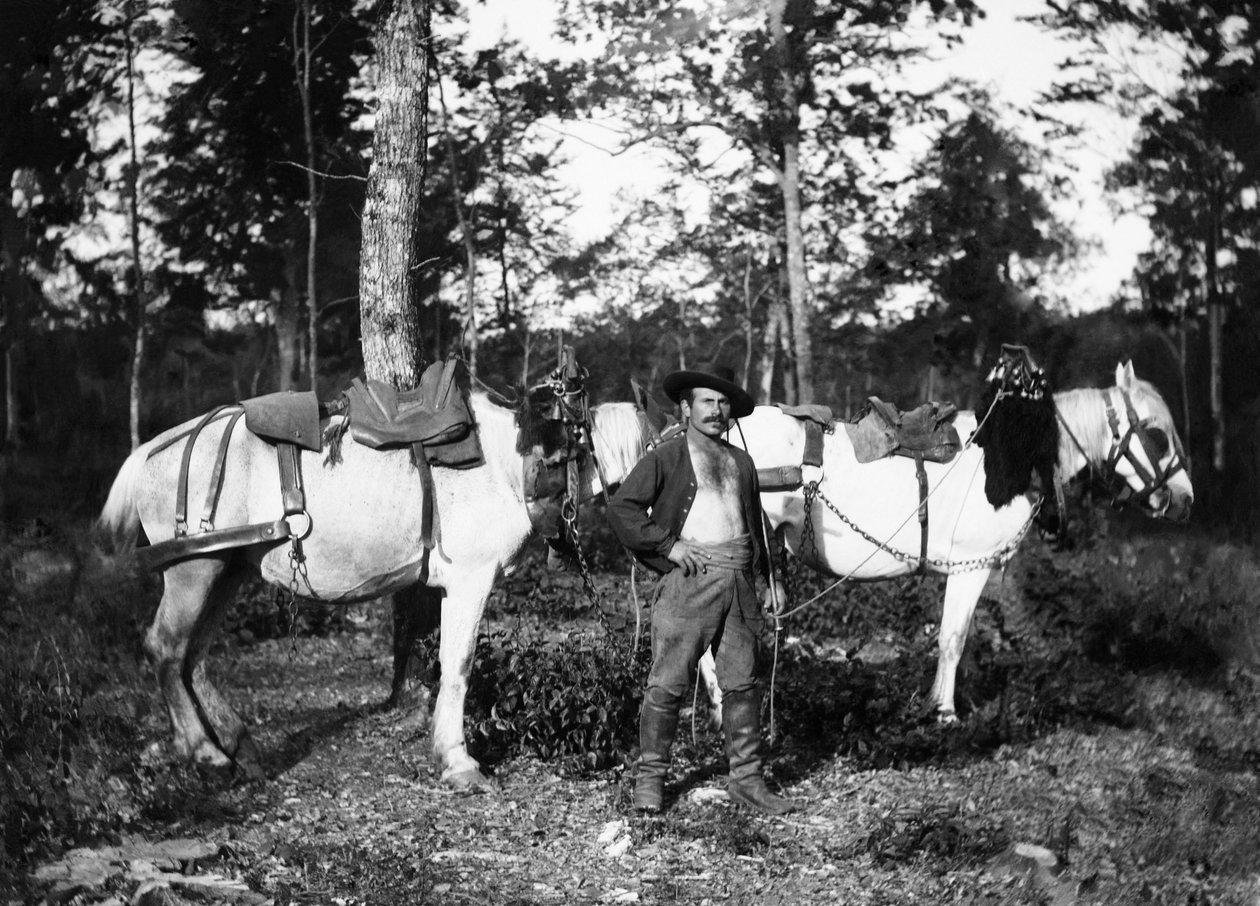 Bucheron med sina hästar, i närheten av Bourmont i Haute-Marne (Haute Marne). Ducos samling. av French Photographer