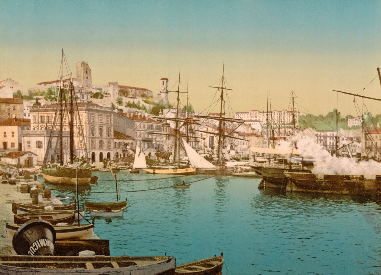 Översikt över Cannes hamn, 1890-1900 av French Photographer