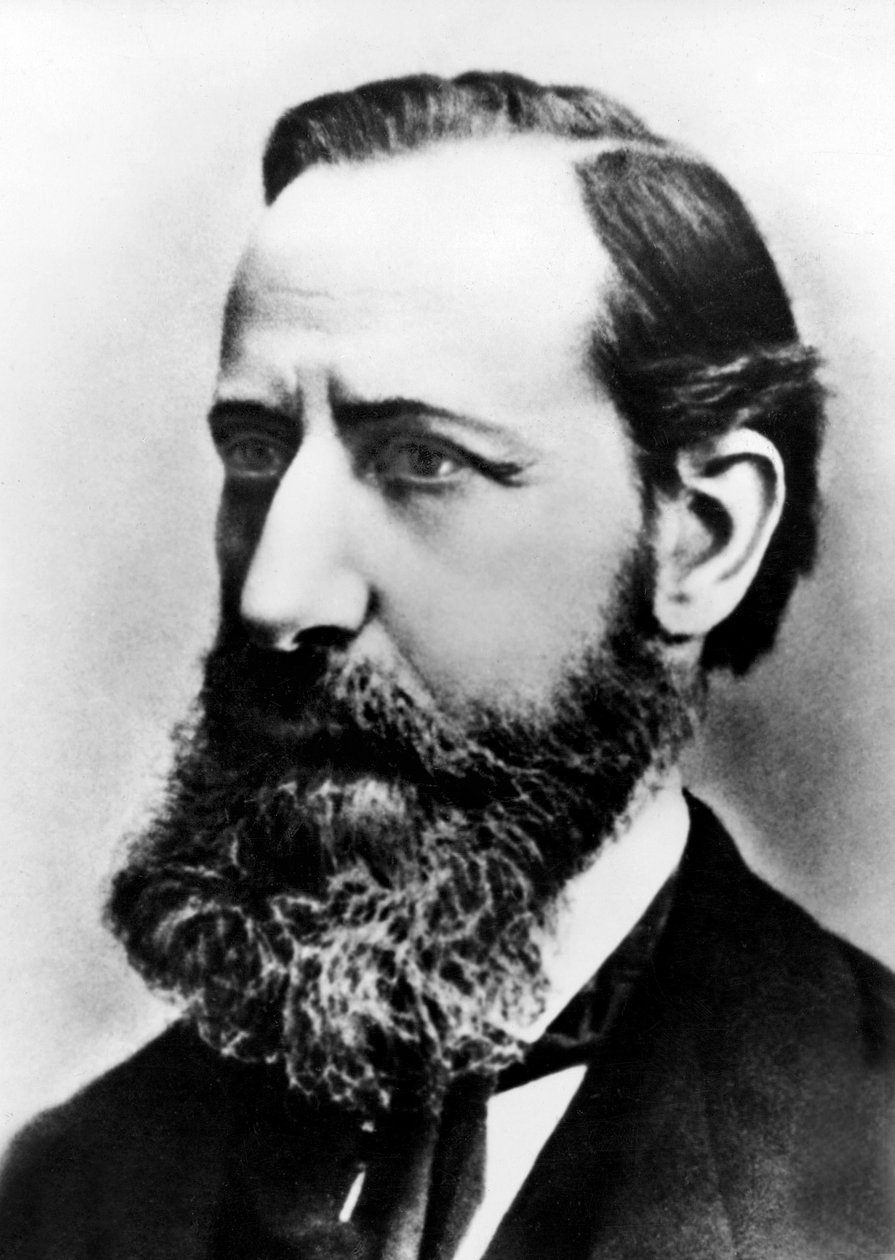Henri Nestlé, ca 1875 av French Photographer