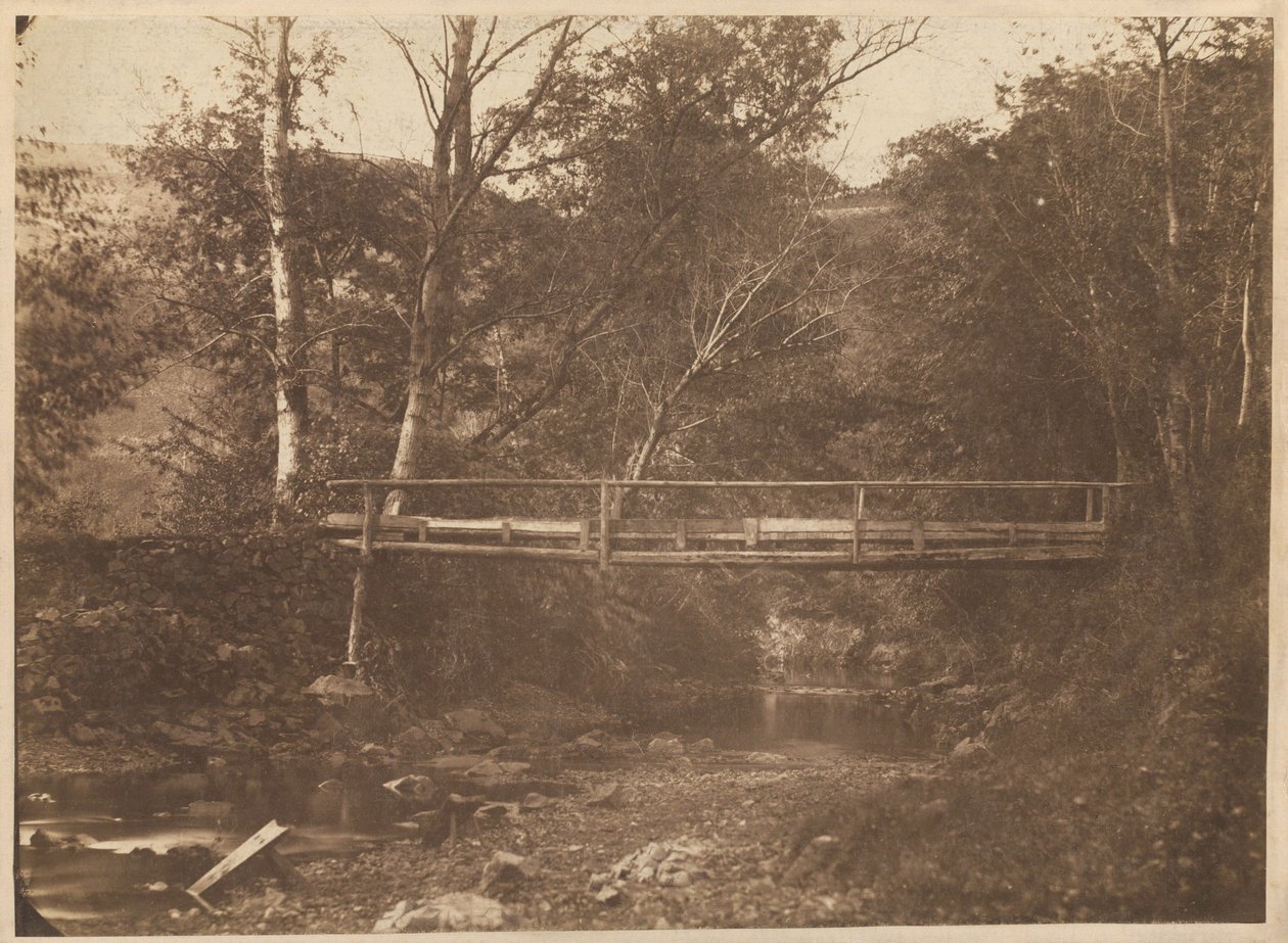 Landskap med träd och bro,ca. 1850 (foto) av French Photographer