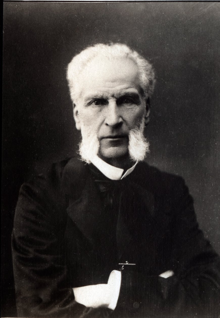 Porträtt av Aime Joseph Edmond Rousse (1817-1906), fransk advokat. av French Photographer