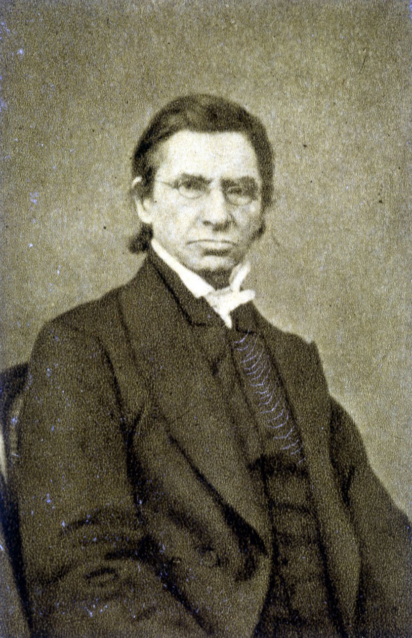 Porträtt av Maximilian Emile Littré (1801 - 1881) 1869 av French Photographer