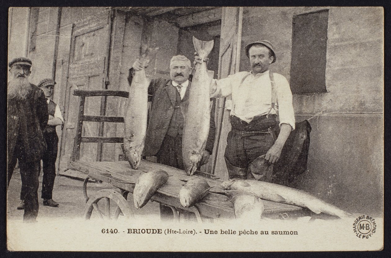 Vykort som visar en bra fångst av lax i Brioude, Haute-Loire, ca 1900 av French Photographer