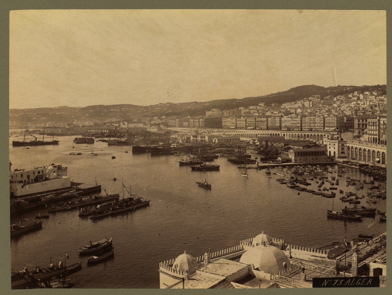 Utsikt över Alger, ca 1860-1900 av French Photographer