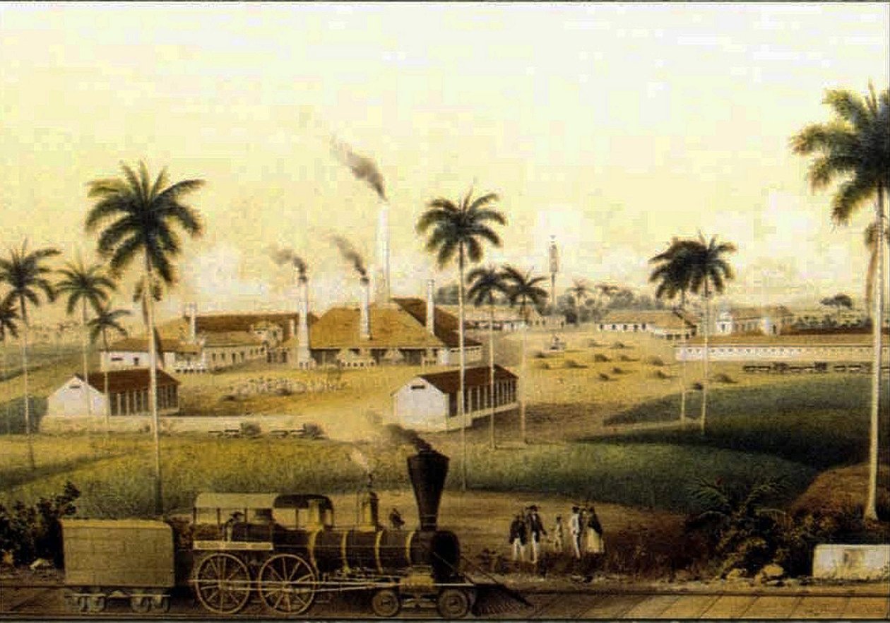 14784N Tillverkning av rom i Caribbean Collection av French School