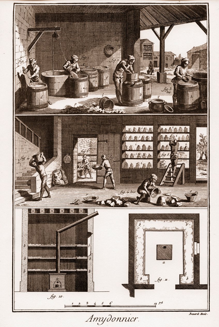 AMDONIER - Amydonnier - "" The Great Encyclopedia, eller Dictionnaire Raisonne des Sciences, des Arts et des Metiers" (Encyclopedia or Dictionary of the Sciences, Arts and Professions) av Denis Diderot (1713-1784) och Jean d