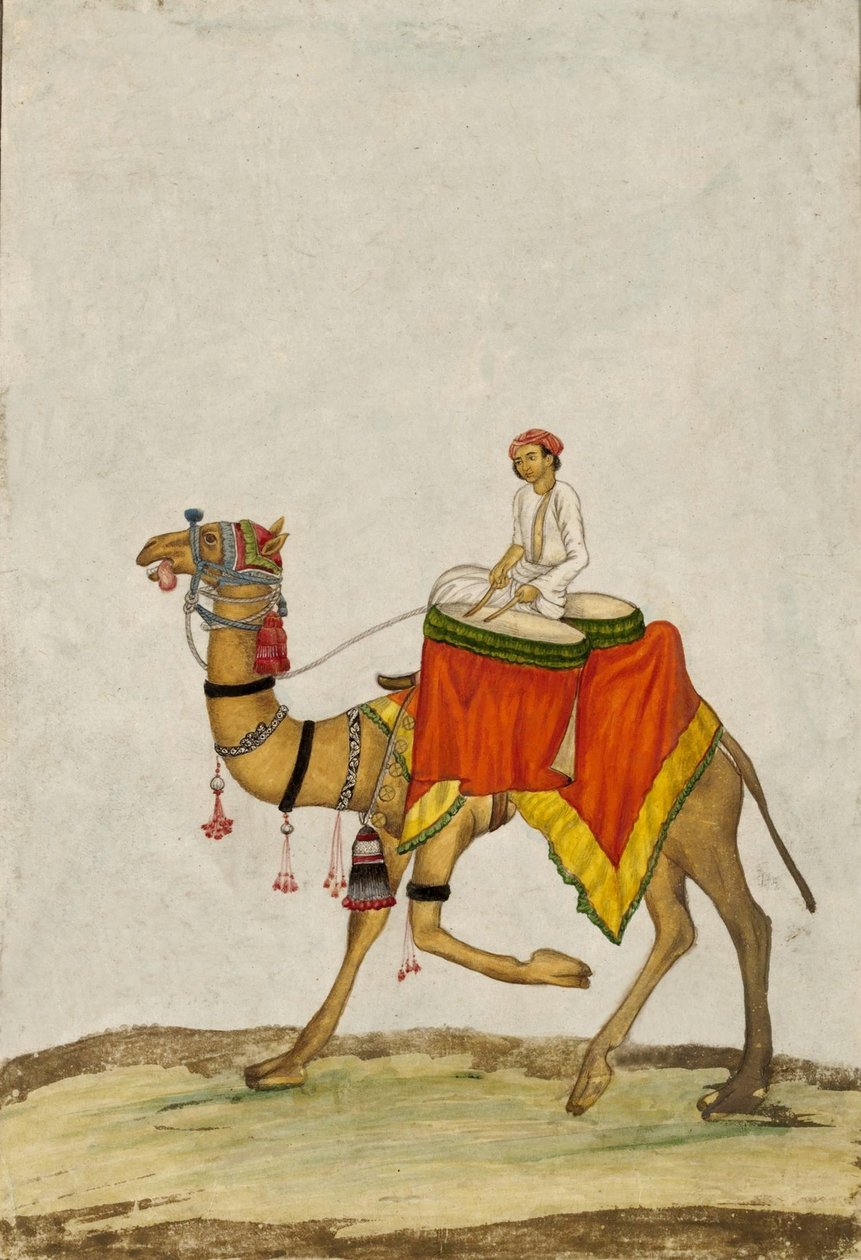 En kamel med sin ryttare som spelar trummor, ca. 1840 (gouache) av French School
