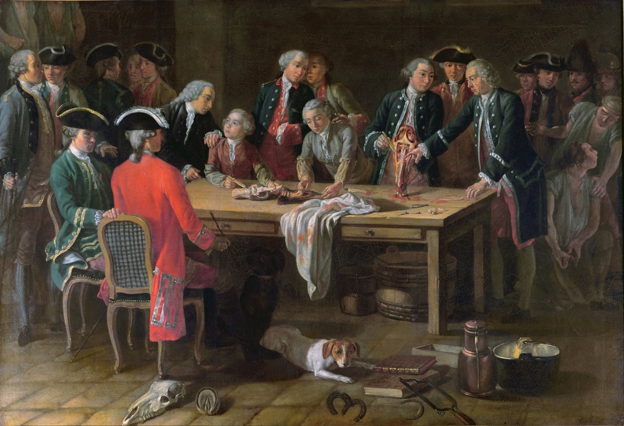 En lektion i hippatrisk anatomi med Philippe-Etienne Lafosse (1738-1820) av French School