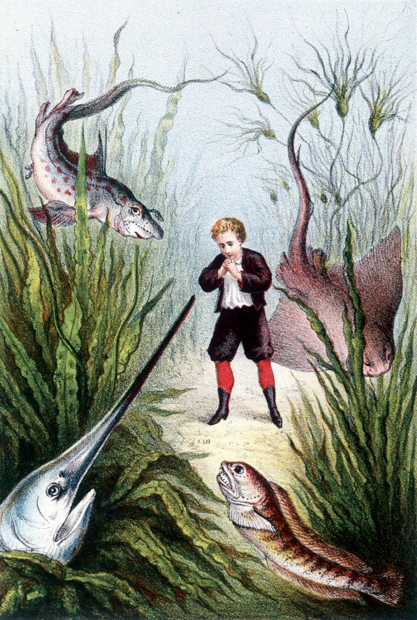 En pojke omgiven av jättefiskar - i "Resan till havets botten" av H. de la Blanchère. Paris, ed. Jouvet et Cie, sd. 1880. (dubbel 02941) av French School