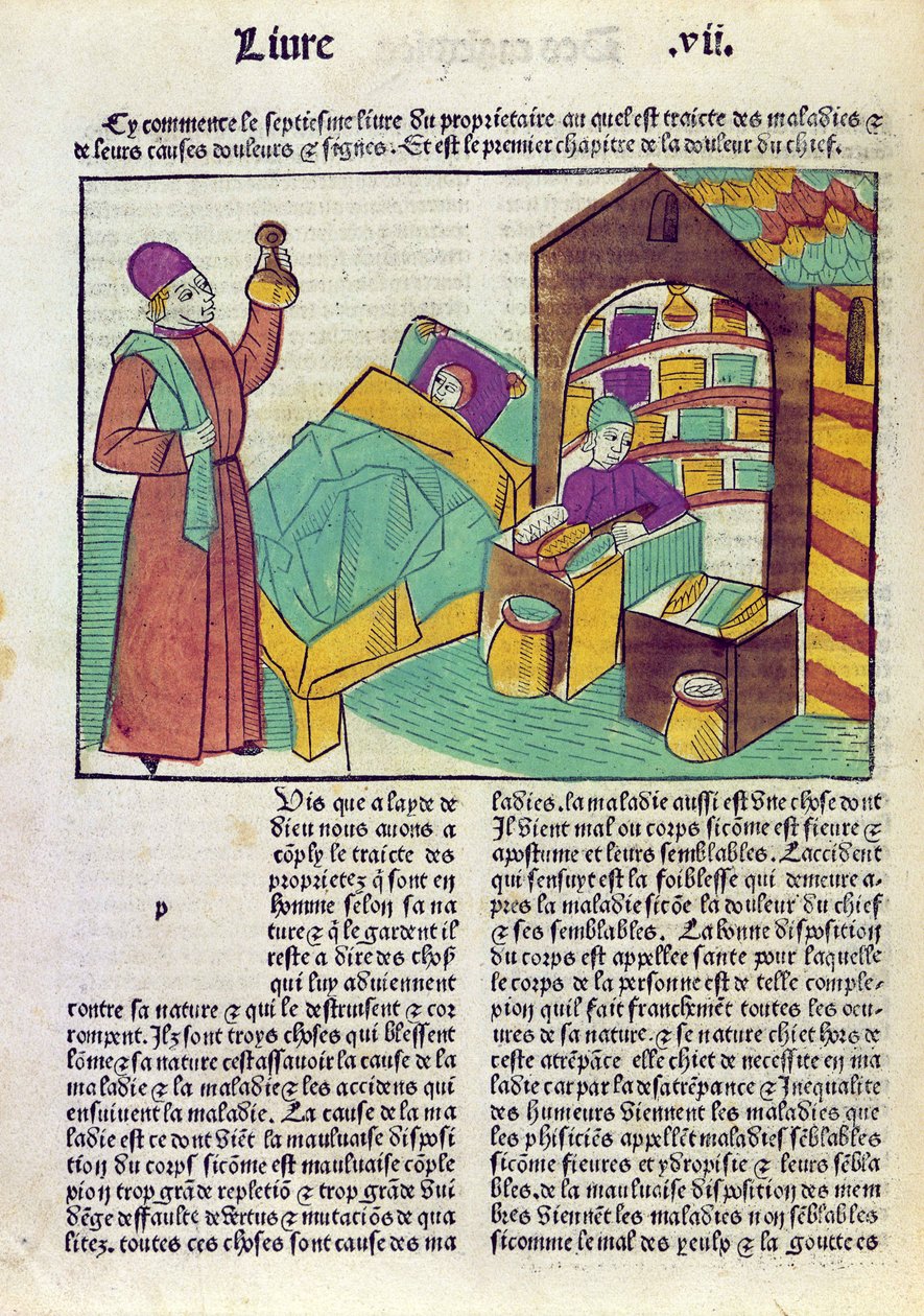 En patient med en läkare och en apotekare, från Le Livre des Proprietes des Choses av Barthelemy lAnglais, 1485 (träsnitt i färg) av French School