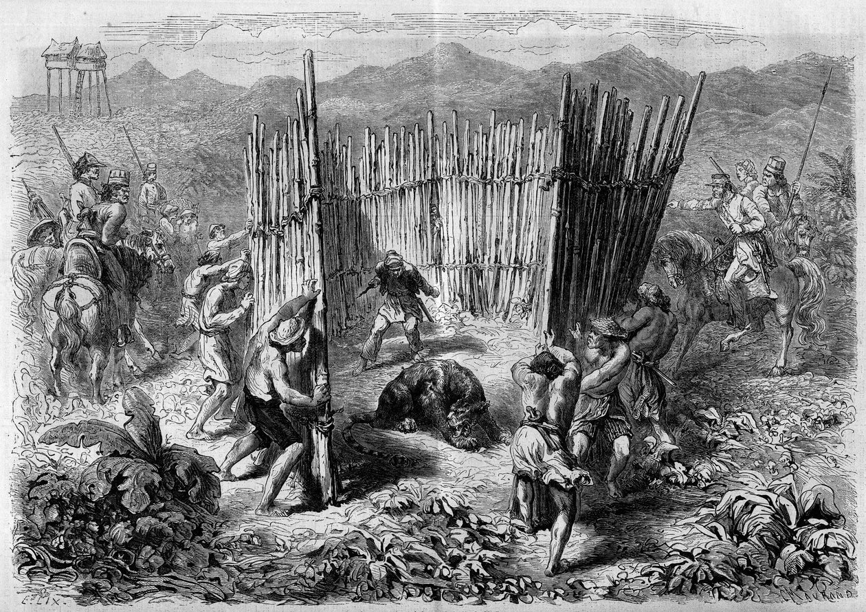 En tigerjakt på Java Island 1862. Gravyr i "" Le Monde Illustré"" nr 251 den 1 februari 1862. av French School