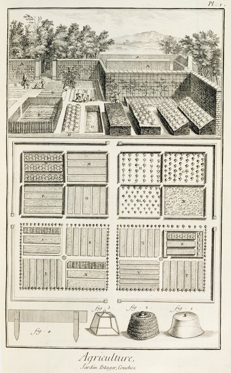 En grönsaksträdgård, från The Encyclopedia of Science, Art and Engineering av Denis Diderot (1713-84), ca 1770 av French School