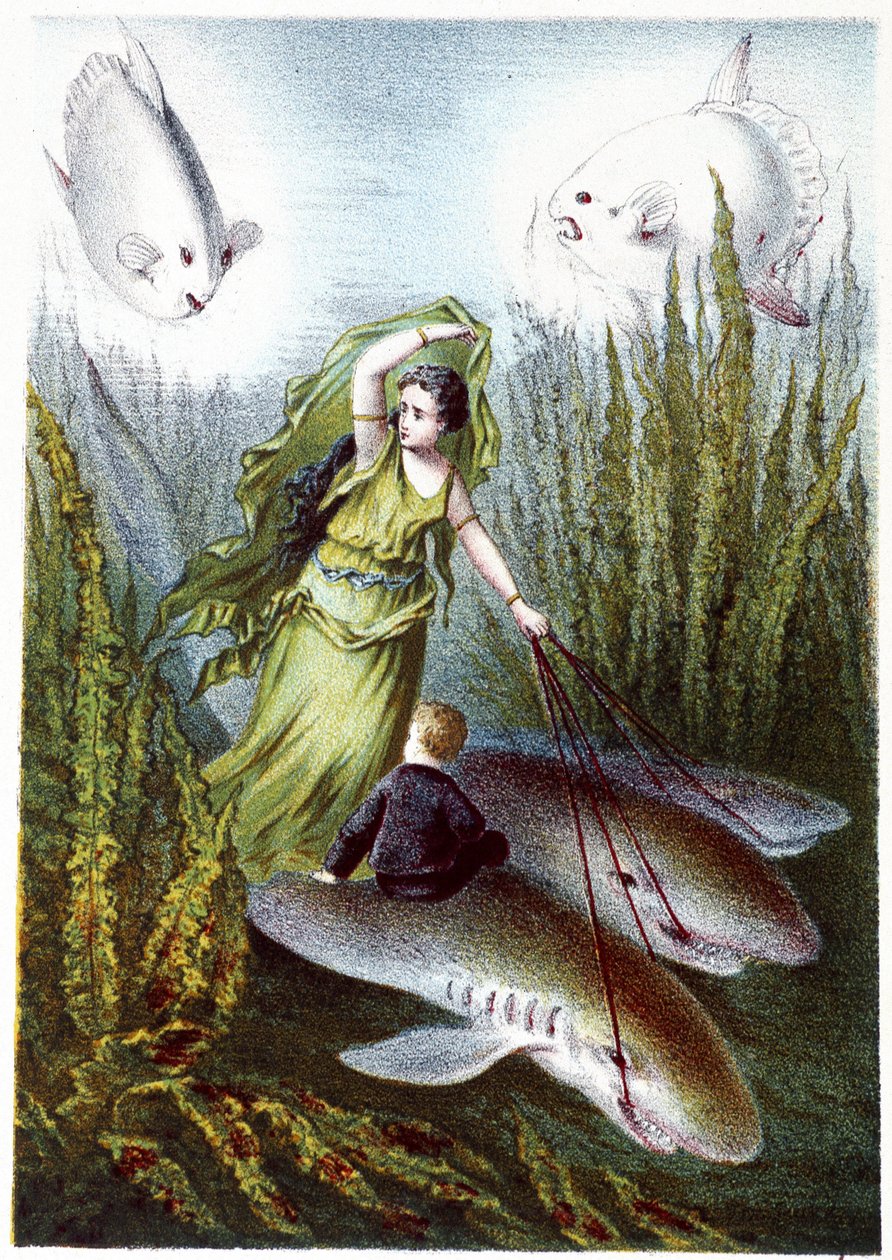 En kvinna och en pojke flyr från jättefiskar på hajar - i "Resan till havets botten" av H. de la Blanchère. Paris, red. Jouvet et Cie, sd. 1880. av French School