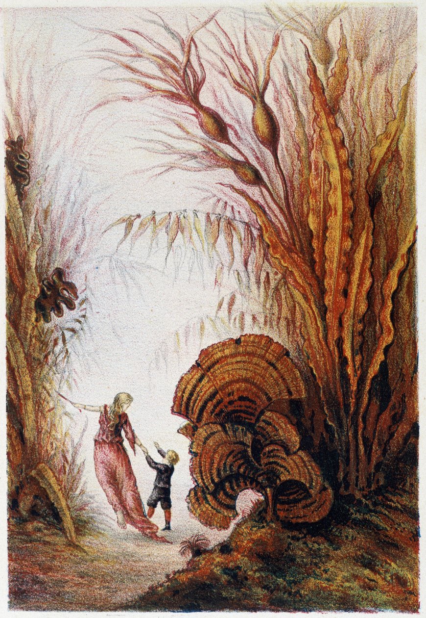 En kvinna och en pojke går genom undervattensvärlden - i "Resan till havets botten" av H. de la Blanchère. Paris, red. Jouvet et Cie, sd. 1880. av French School