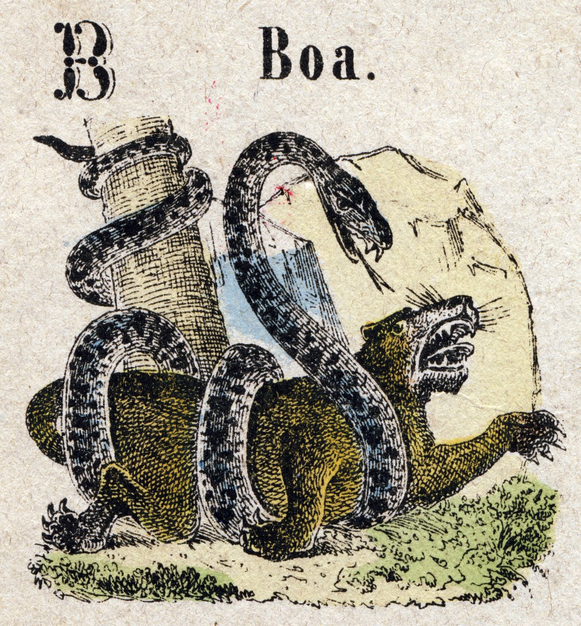 Abecedary. Bokstaven B som Boa. Litet encyklopediskt alfabet, populär serie. Epinal avbildning, sent 1800-tal av French School