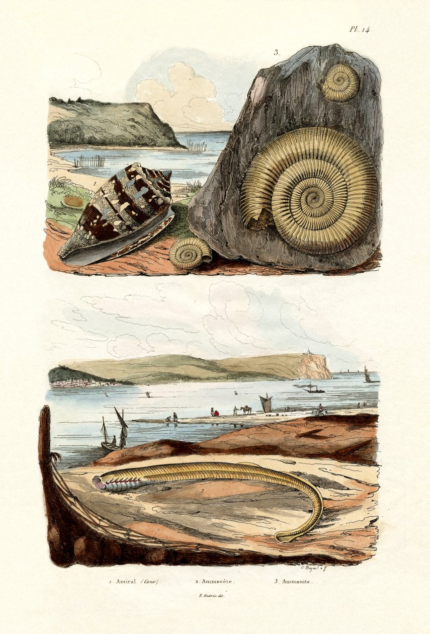 Amiral Cone, 1833-39 av French School