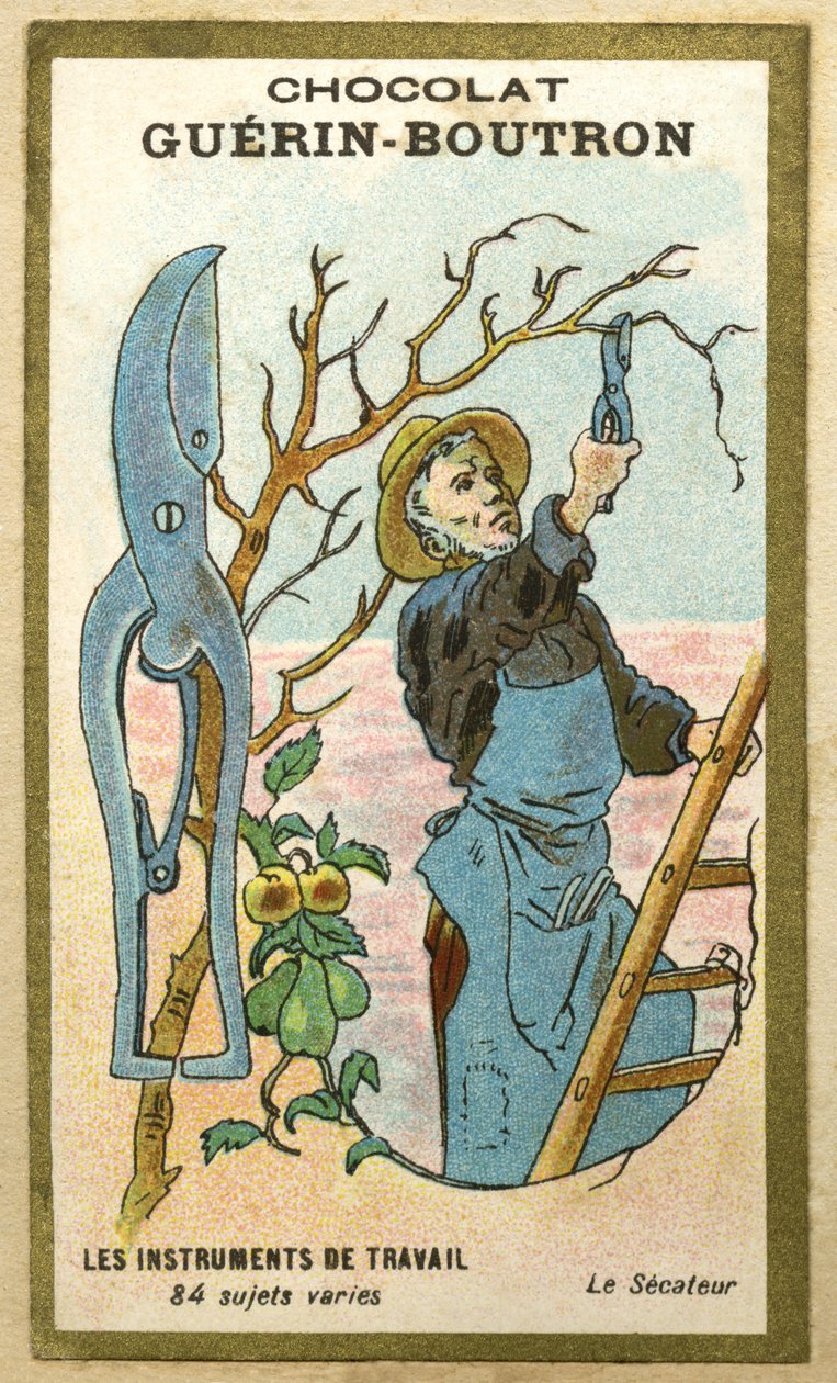 Reklamkromolitografi av Guerin Boutron-choklad, arbetsinstrument, 84 olika ämnen, beskärningssax (kromolitografi) av French School