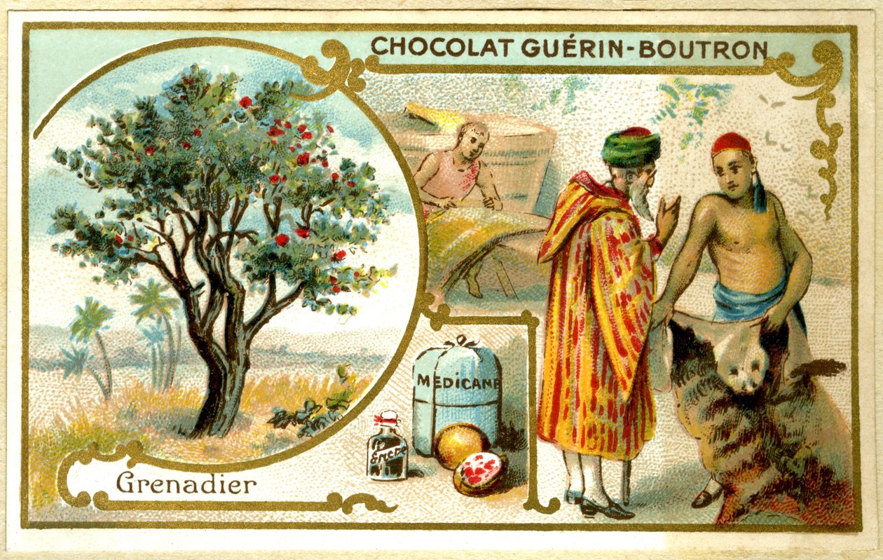 Reklamkromolitografi av Guérin Boutron-choklad (kromolitografi) av French School