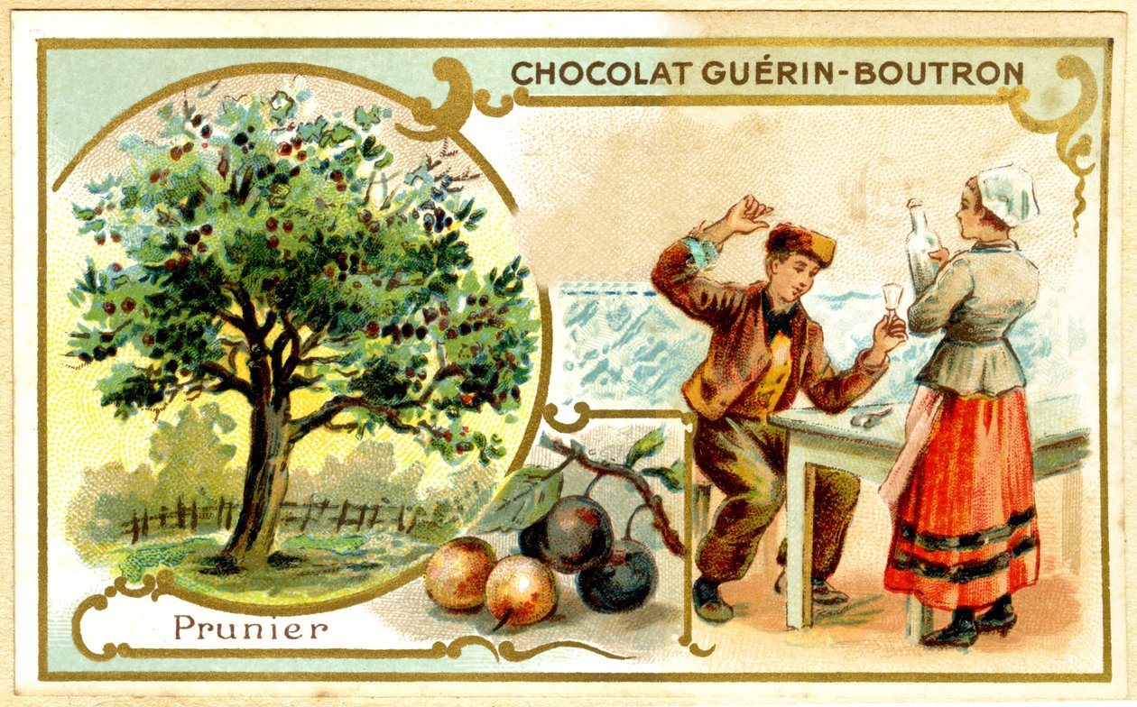 Reklamkromolitografi av Guérin Boutron-choklad (kromolitografi) av French School