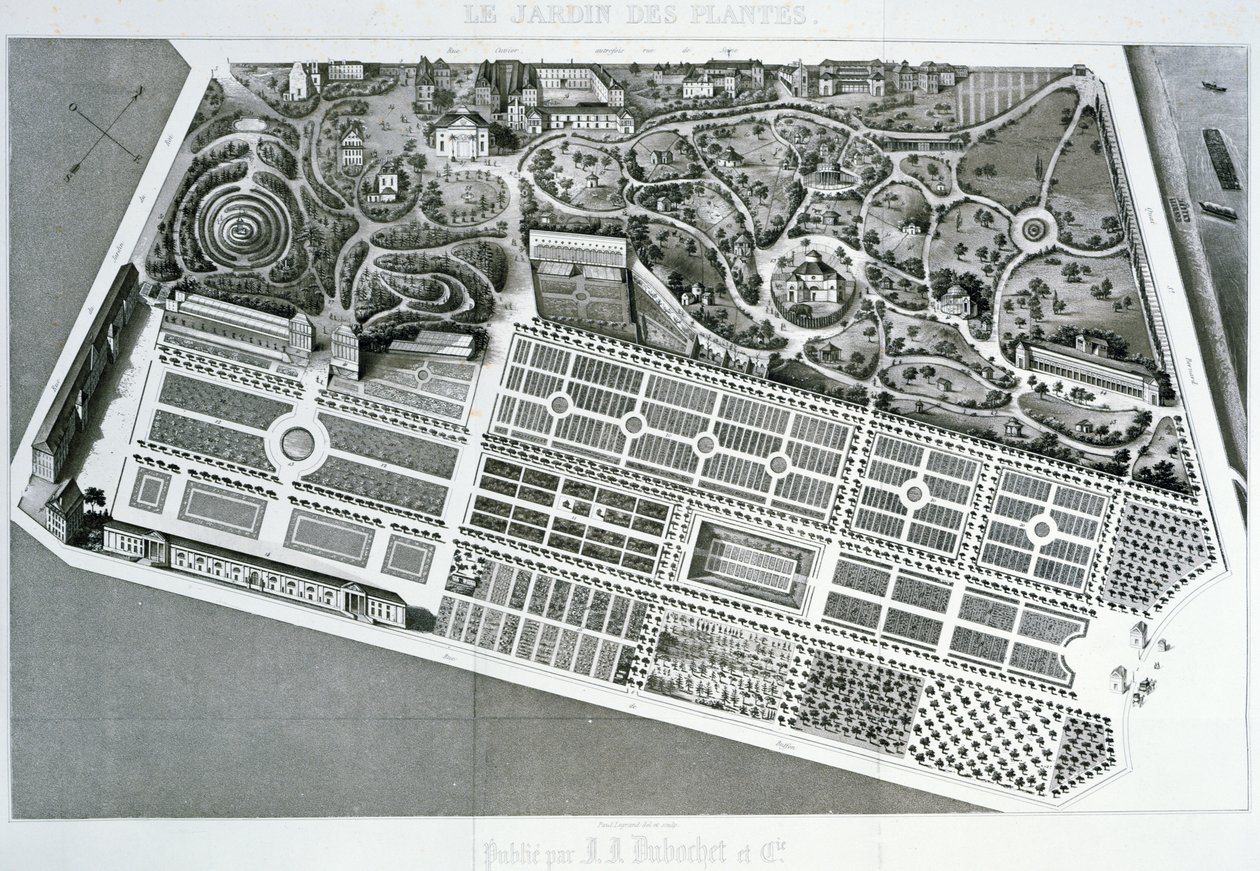Flygfoto av planen för Jardin des Plantes i Paris, 1842 av French School