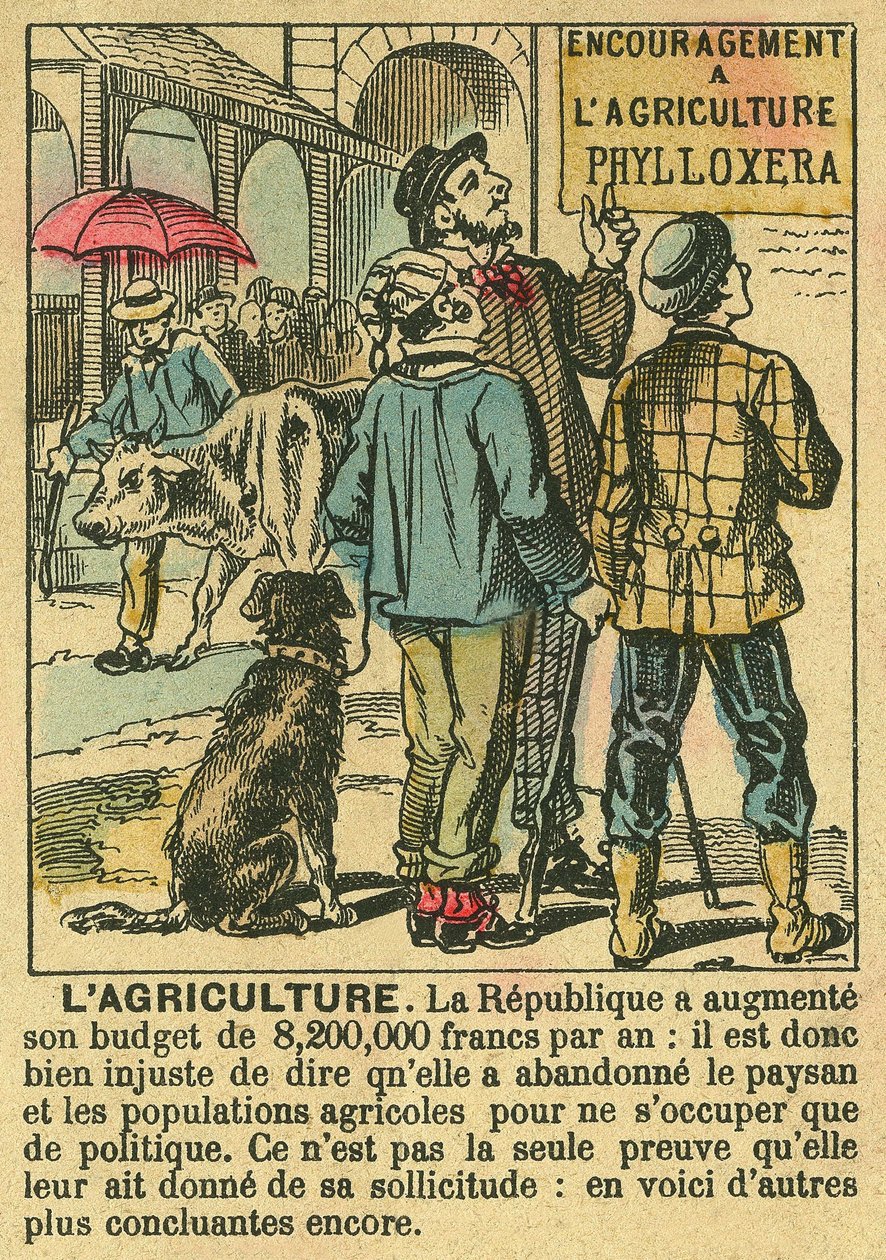 Jordbruket illustrerar den tredje republikens fördelar på jordbruksinvesteringar och dess oro för bondebefolkningen. Gravyr, i "" Le Figaro, tillägg"", den 30/03/1889, Paris. Coll. Selva. av French School